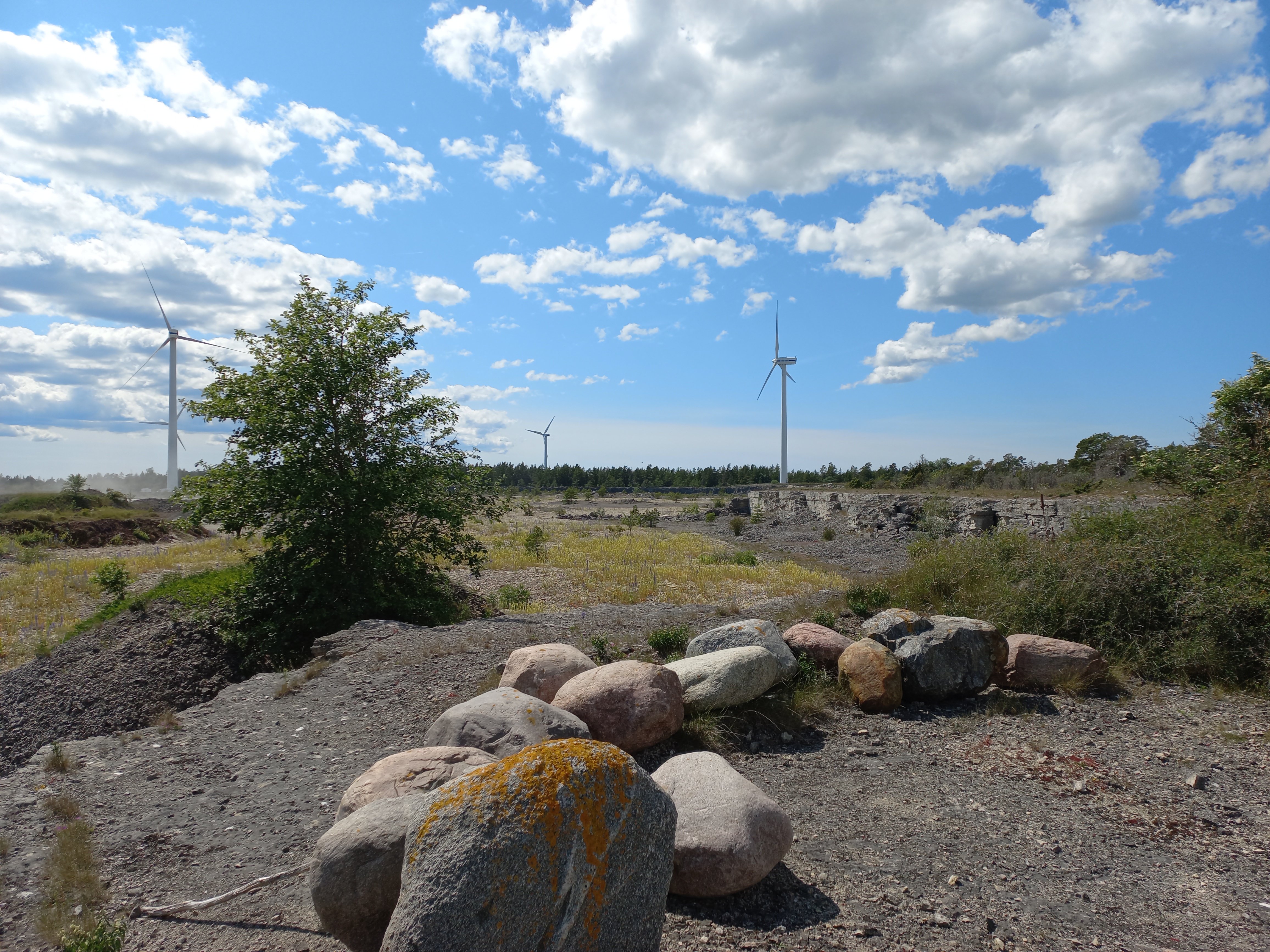 Landskap med vindkraftverk i bakgrunden, fält med stenar och låg växtlighet i förgrunden, samt en ensam buske till vänster. Solig dag med spridda moln på himlen.