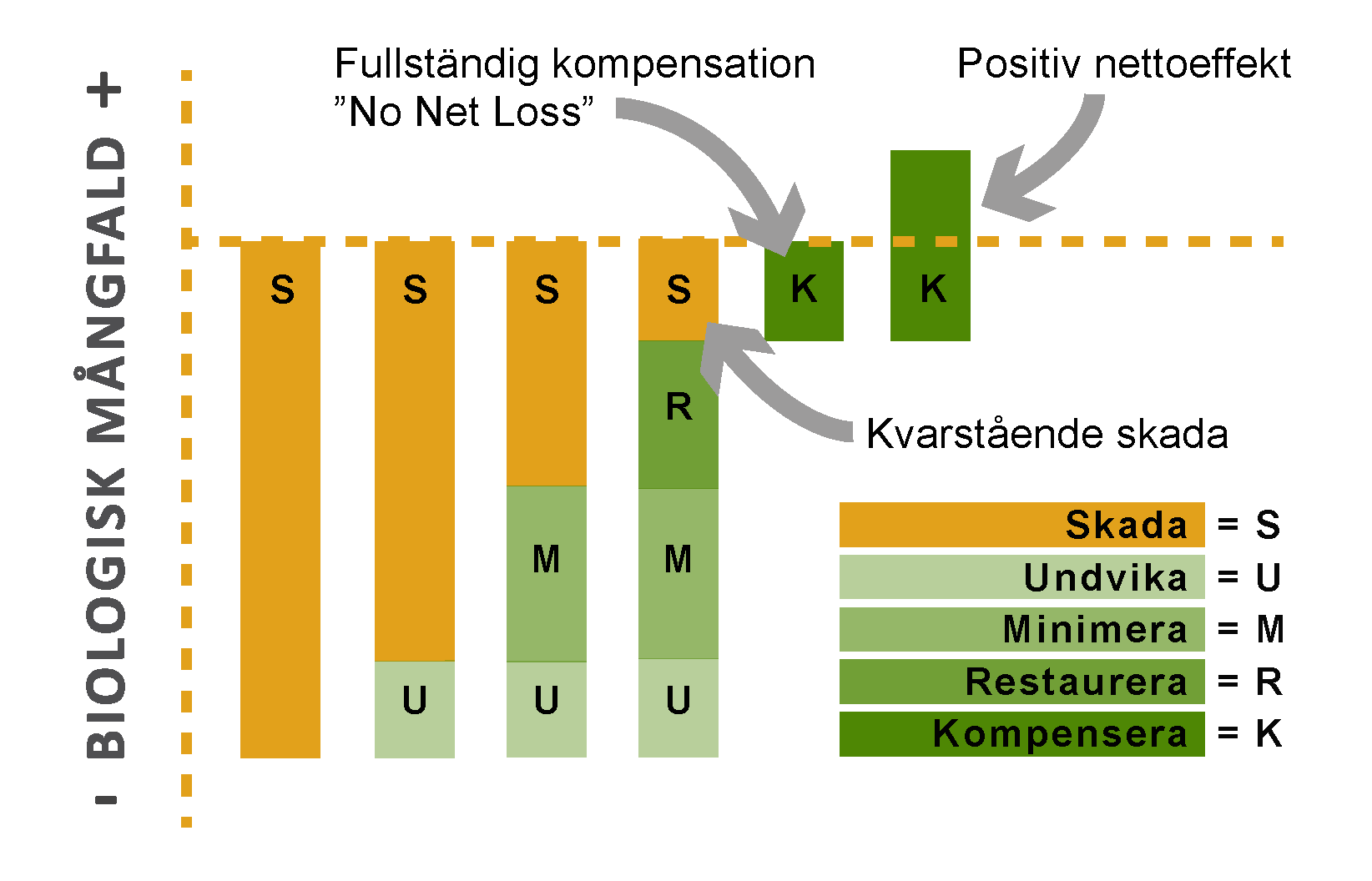 Stapeldiagram som visar steg för att minska påverkan på biologisk mångfald: Skada (S, orange stapel), Undvika (U, ljusgrön), Minimera (M, grön), Restaurera (R, mörkgrön) och Kompensera (K, mörkgrön). "Fullständig kompensation 'No Net Loss'" innebär balans, medan "Positiv nettoeffekt" överstiger ursprungligt värde. Pilar visar rörelse från skada till förbättring. Legenden förklarar varje åtgärd.