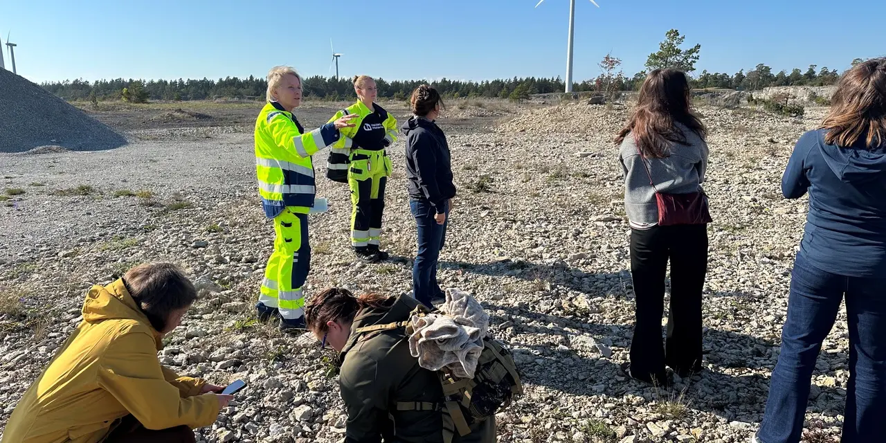 Personer utför fältstudier på en stenig industriell plats (Smöjen på Gotland nära Slite) med ett vindkraftverk i bakgrunden.