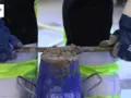 Sättmått