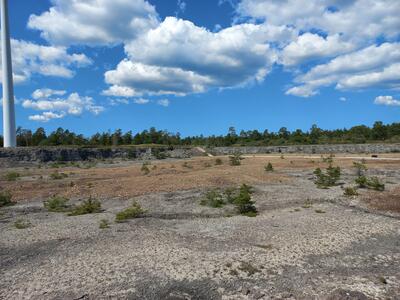 Öppen alvarmark med spridda små träd och buskar, omgiven av en skogslinje i bakgrunden under en blå himmel med vita moln. Ett vindkraftverk syns delvis på vänster sida av bilden. 